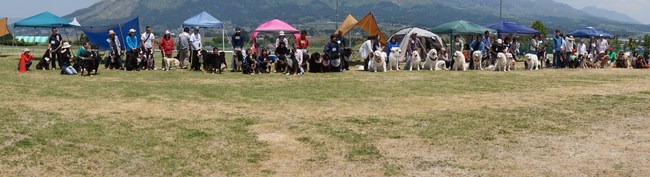a0201257_1514561.jpg