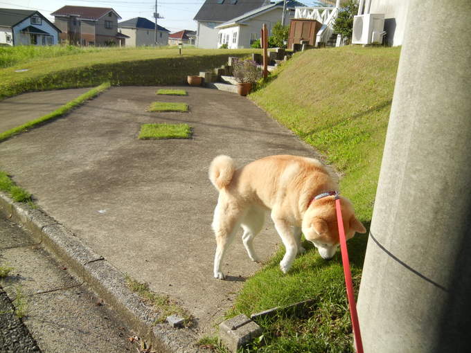 ’14,5,17(土)母のお見送りをしてきました!_f0060461_10223592.jpg