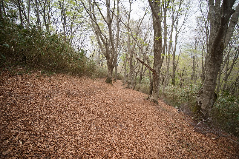 b0198768_2224758.jpg