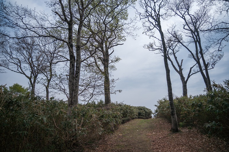 b0198768_2244314.jpg