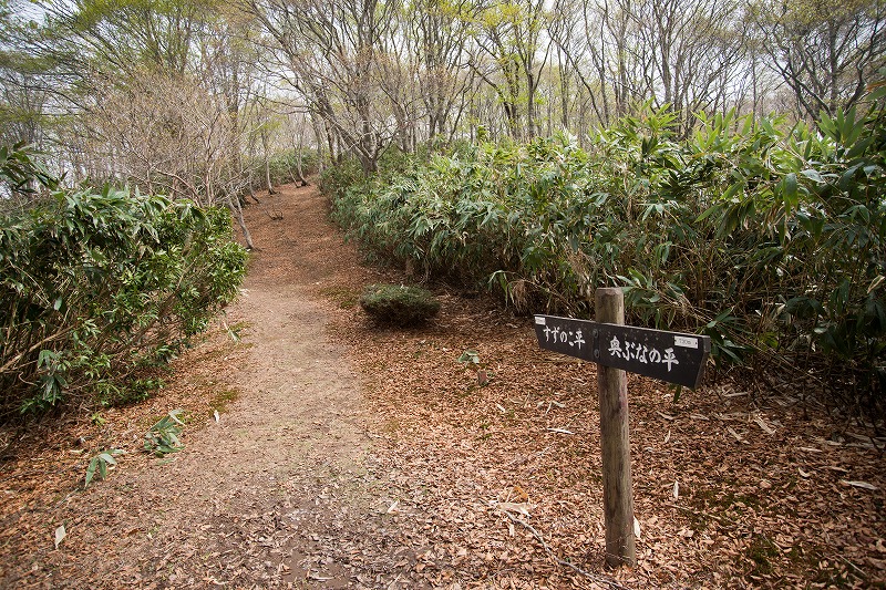 b0198768_2251912.jpg