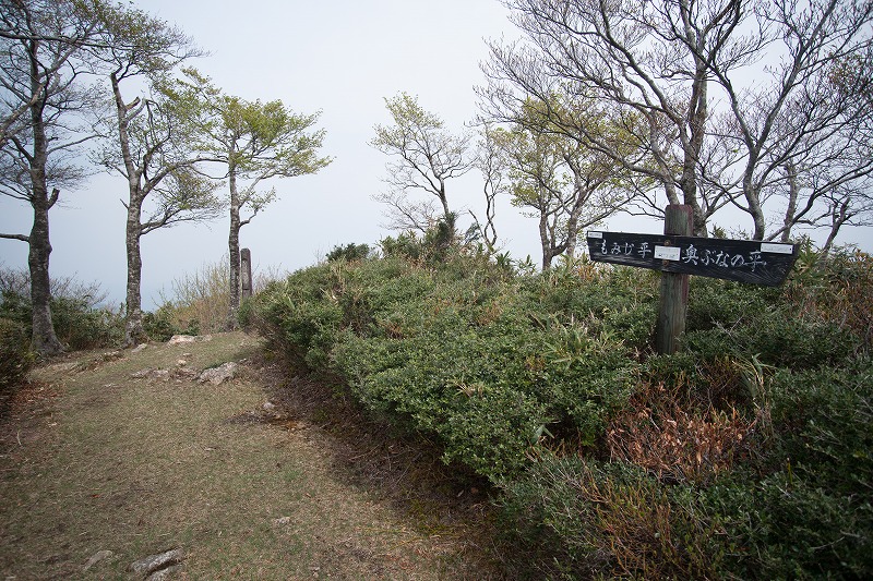 b0198768_226532.jpg