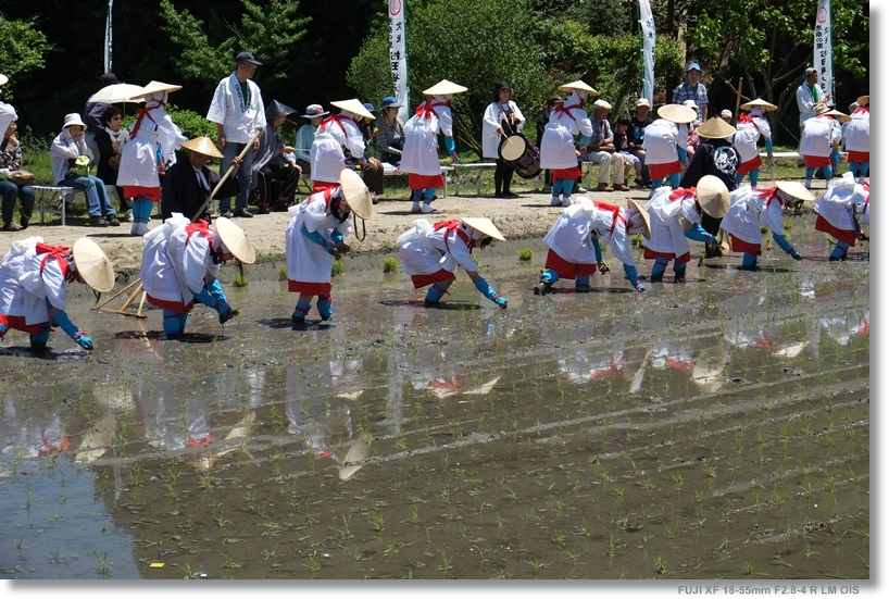 お田植え祭り_c0054876_16194592.jpg