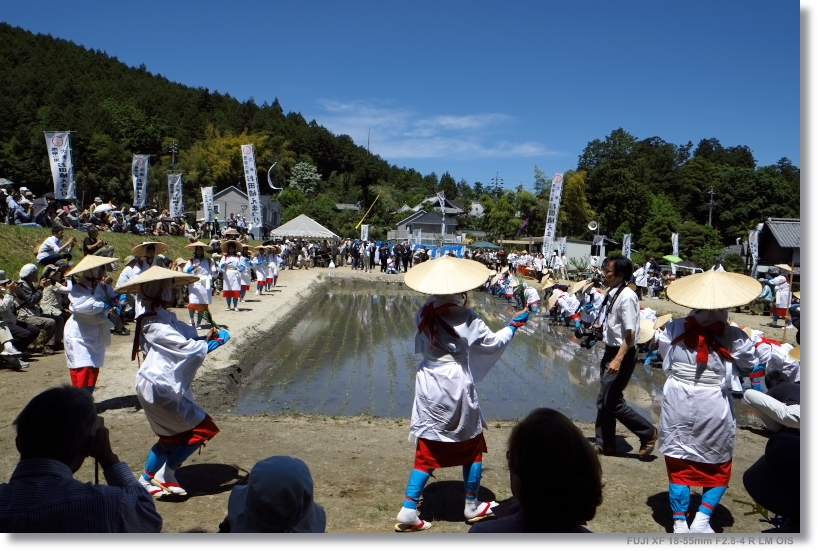 お田植え祭り_c0054876_1620345.jpg