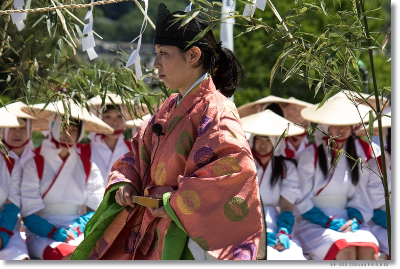 お田植え祭り_c0054876_1621191.jpg