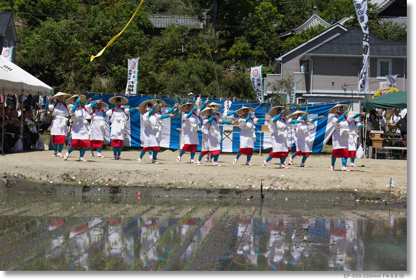 お田植え祭り_c0054876_1644377.jpg