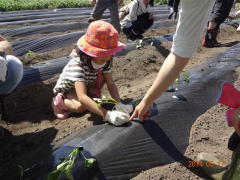 c0145581_23351779.jpg