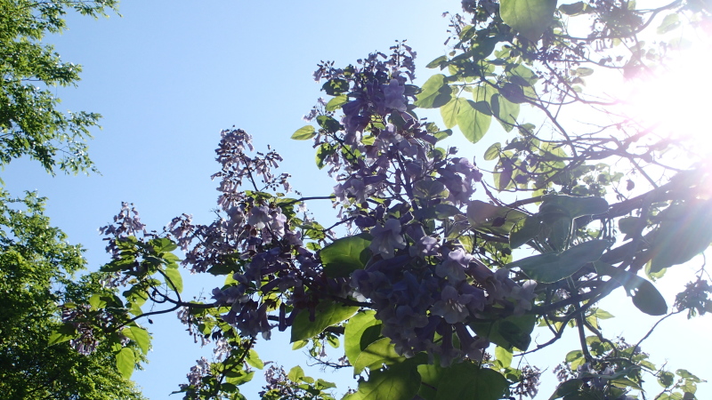 e0024081_20334470.jpg