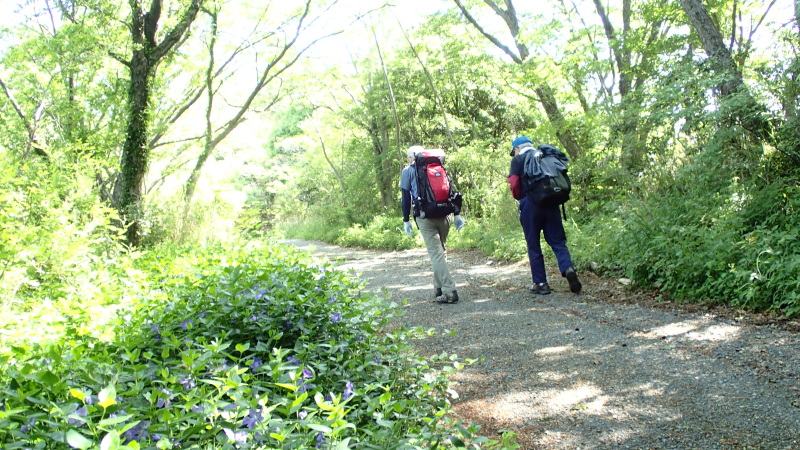 e0024081_20353135.jpg
