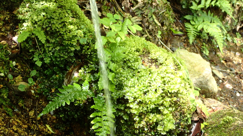 e0024081_20382477.jpg