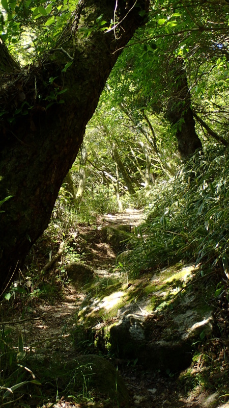 e0024081_20405181.jpg