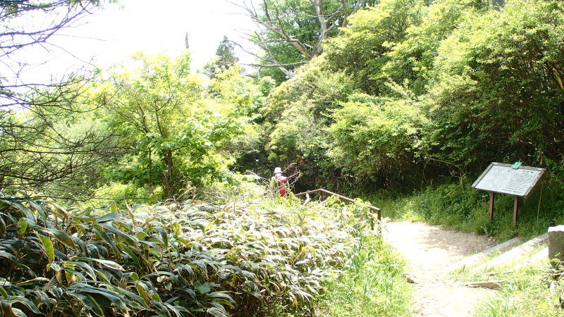 e0024081_20494526.jpg