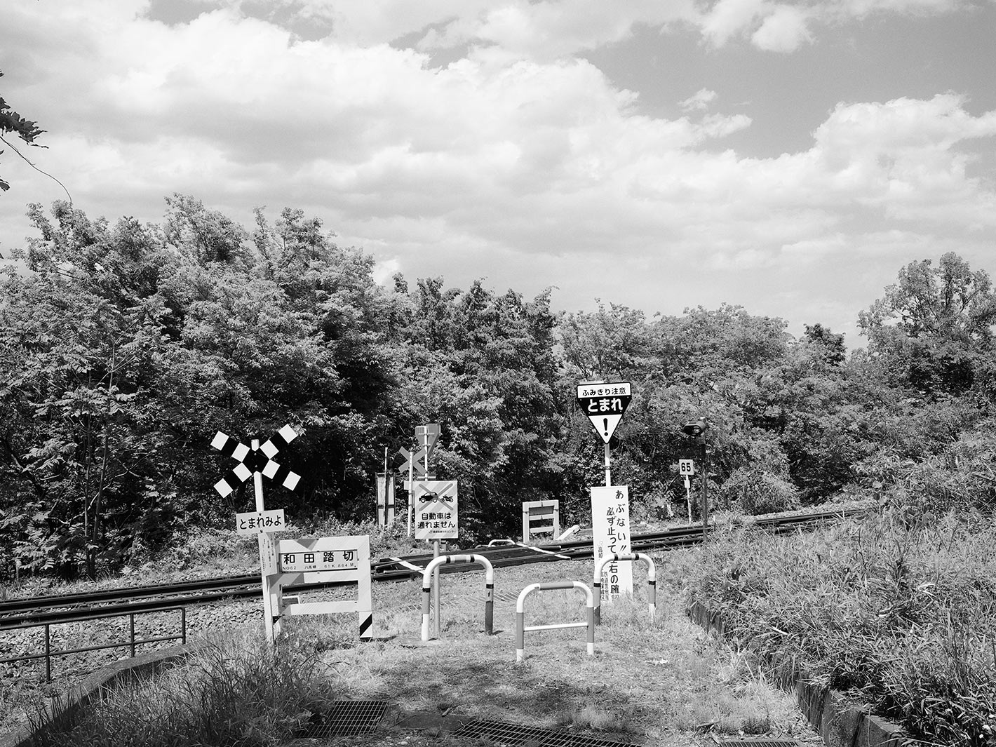 f0121181_545936.jpg