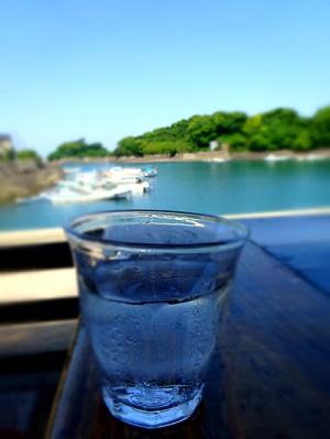 湧水散策と美味しい魚 島原市_d0195183_122425.jpg