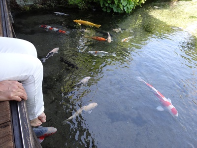 湧水散策と美味しい魚　島原市_d0195183_1534015.jpg