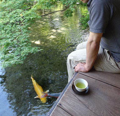 湧水散策と美味しい魚　島原市_d0195183_157217.jpg