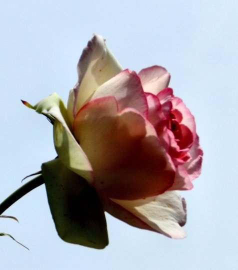 e0191585_23595746.jpg
