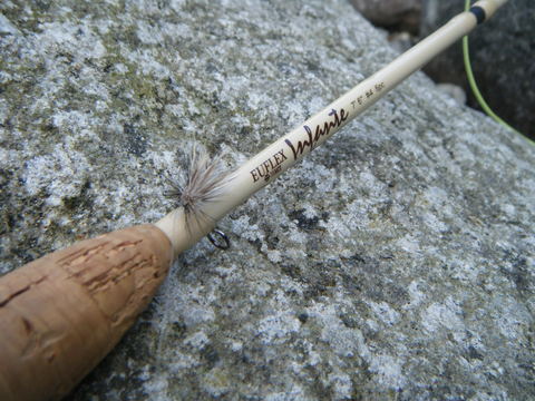 b0304294_15394098.jpg