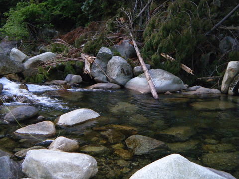 b0304294_15403779.jpg