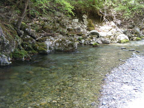 b0304294_15434794.jpg