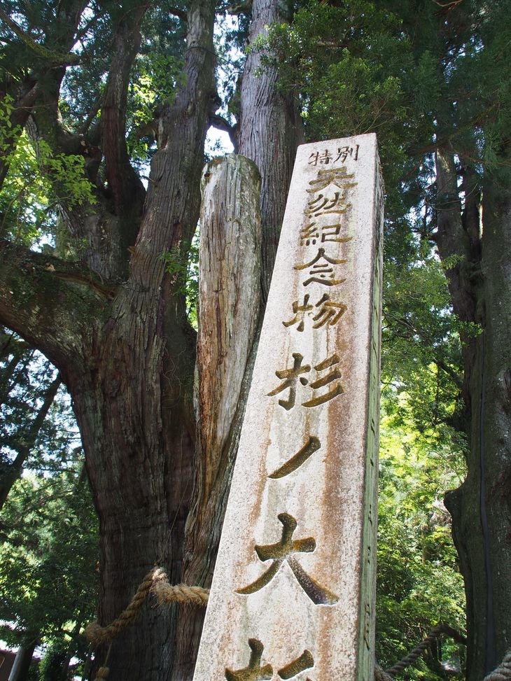 e0184696_018942.jpg