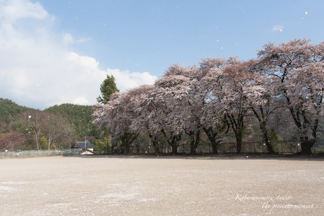 春の津金、海岸寺とその登り口の村にある旧津金学校_c0137403_16354044.jpg