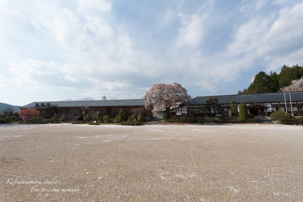 春の津金、海岸寺とその登り口の村にある旧津金学校_c0137403_16354992.jpg