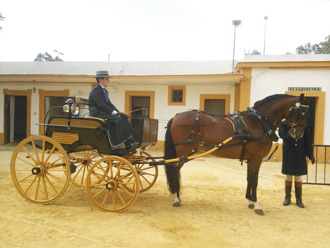 馬車競技を観戦 ヘレス馬祭り よく飲むオバチャン 本日のメニュー 馬車競技を観戦 ヘレス馬祭り よく飲むオバチャン 本日のメニュー
