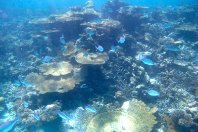 d0298808_15164688.jpg