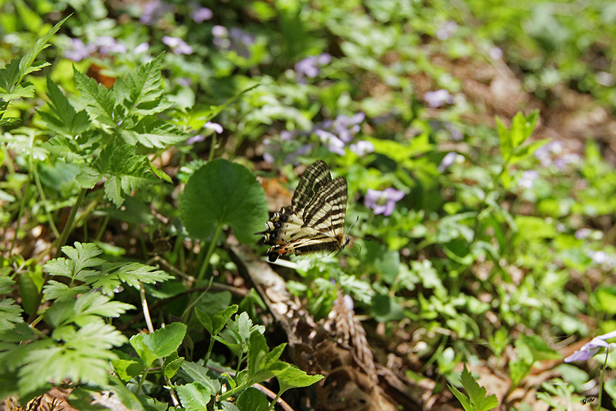b0315912_13203010.jpg
