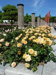 a0177314_1614276.jpg