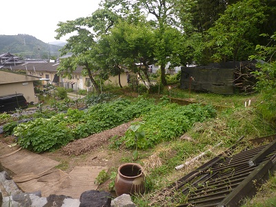 f0031420_85451.jpg