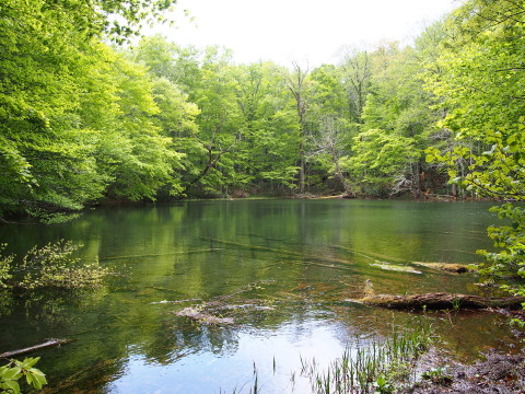 b0147224_21231672.jpg