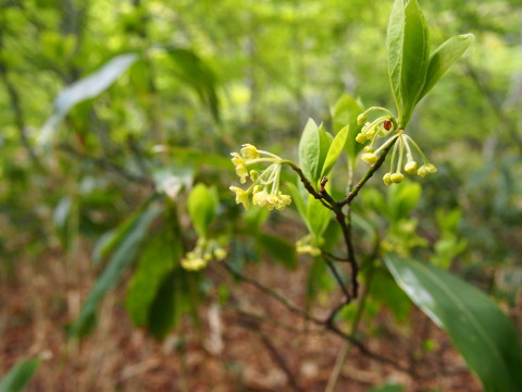 b0147224_2124187.jpg