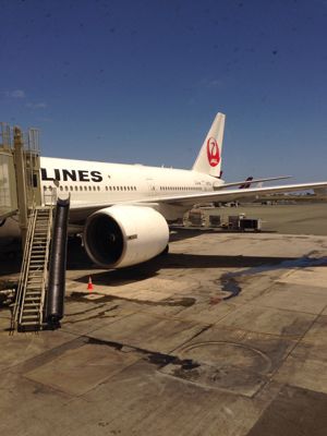 ただいまーっ。_f0215324_85092.jpg