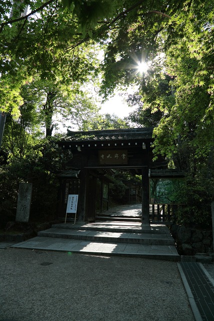 新緑の嵯峨野巡り －常寂光寺 境内（前編）－_b0169330_2117894.jpg