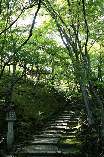 新緑の嵯峨野巡り －常寂光寺 境内（前編）－_b0169330_21202610.jpg