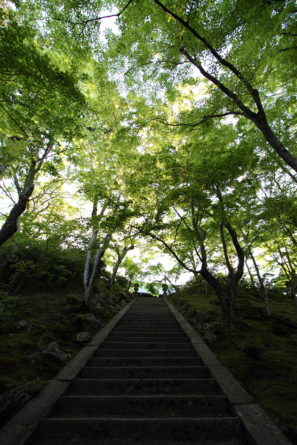 新緑の嵯峨野巡り －常寂光寺 境内（前編）－_b0169330_21375582.jpg