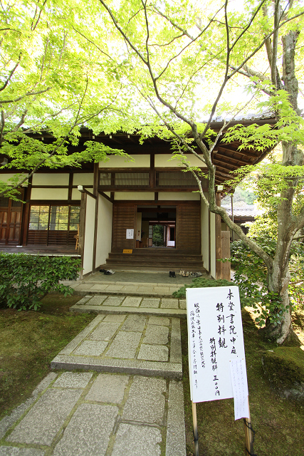 新緑の嵯峨野巡り －常寂光寺 境内（前編）－_b0169330_22373219.jpg