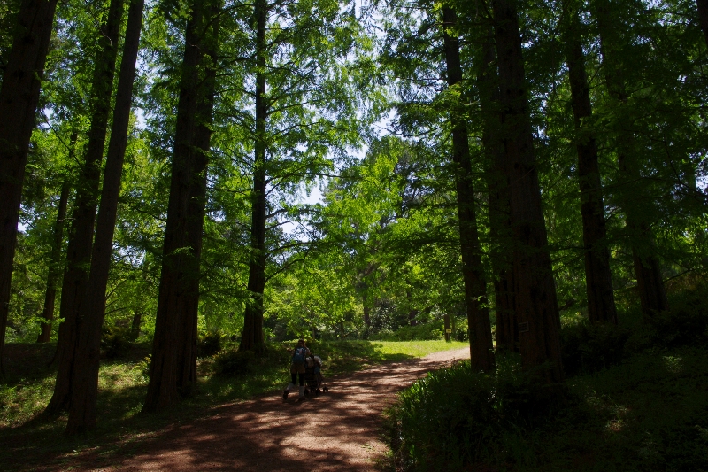 c0113733_04395.jpg