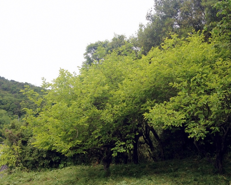 b0057140_1483670.jpg