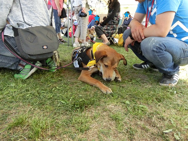 d0204043_1374477.jpg