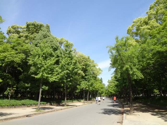 大阪城公園⇔靱公園（うつぼこうえん）薔薇園　2014.5.18　_d0151746_2211964.jpg