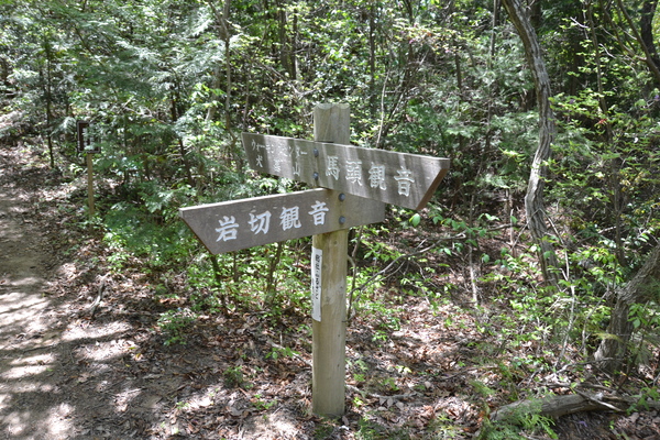 ブログ１２号（鬼ノ城山　見所満載朝鮮式古代山城）_d0320746_22261361.jpg