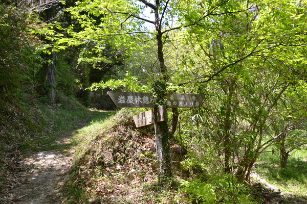 ブログ１２号（鬼ノ城山　見所満載朝鮮式古代山城）_d0320746_22455133.jpg