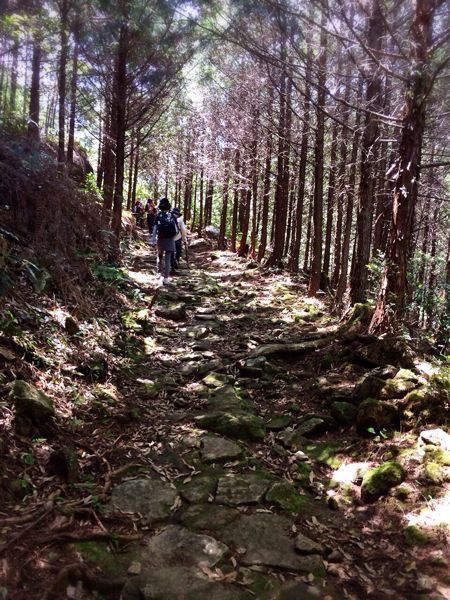 熊野古道@八鬼山越えコース_e0292546_22121420.jpg