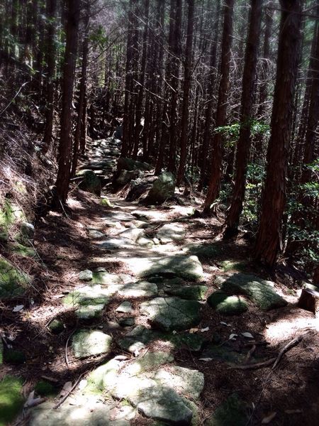 熊野古道@八鬼山越えコース_e0292546_22121684.jpg