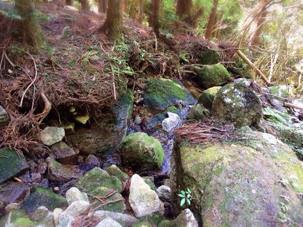 熊野古道@八鬼山越えコース_e0292546_22121756.jpg