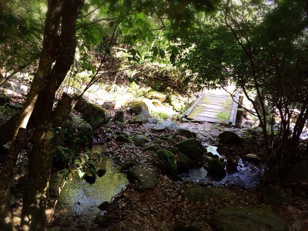 熊野古道@八鬼山越えコース_e0292546_22123557.jpg