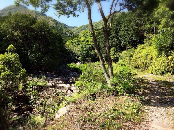 熊野古道@八鬼山越えコース_e0292546_22123787.jpg